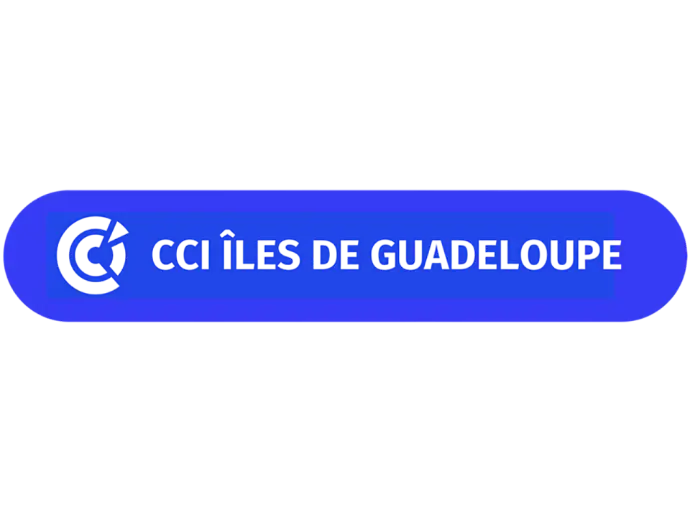 logo CCI des îles de Guadeloupe logo CCI des îles de Guadeloupe
